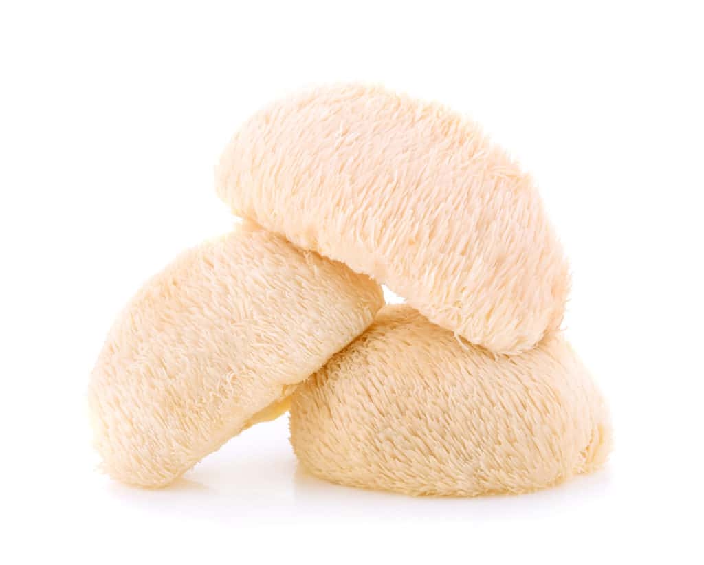 Lion's Mane Mushroom Capsules