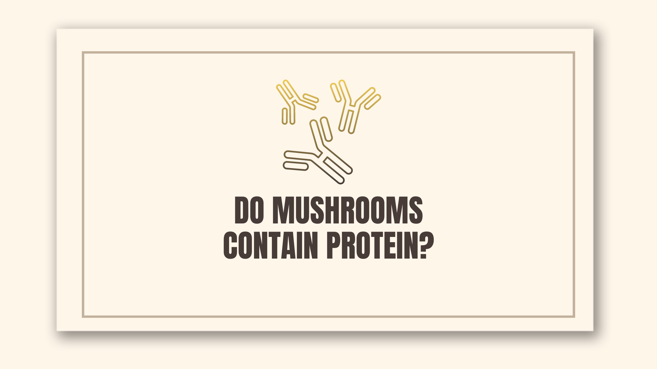 Do Mushrooms Contain Protein? Brain Brands