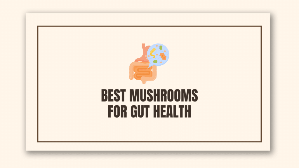 Best Mushrooms For Gut Health