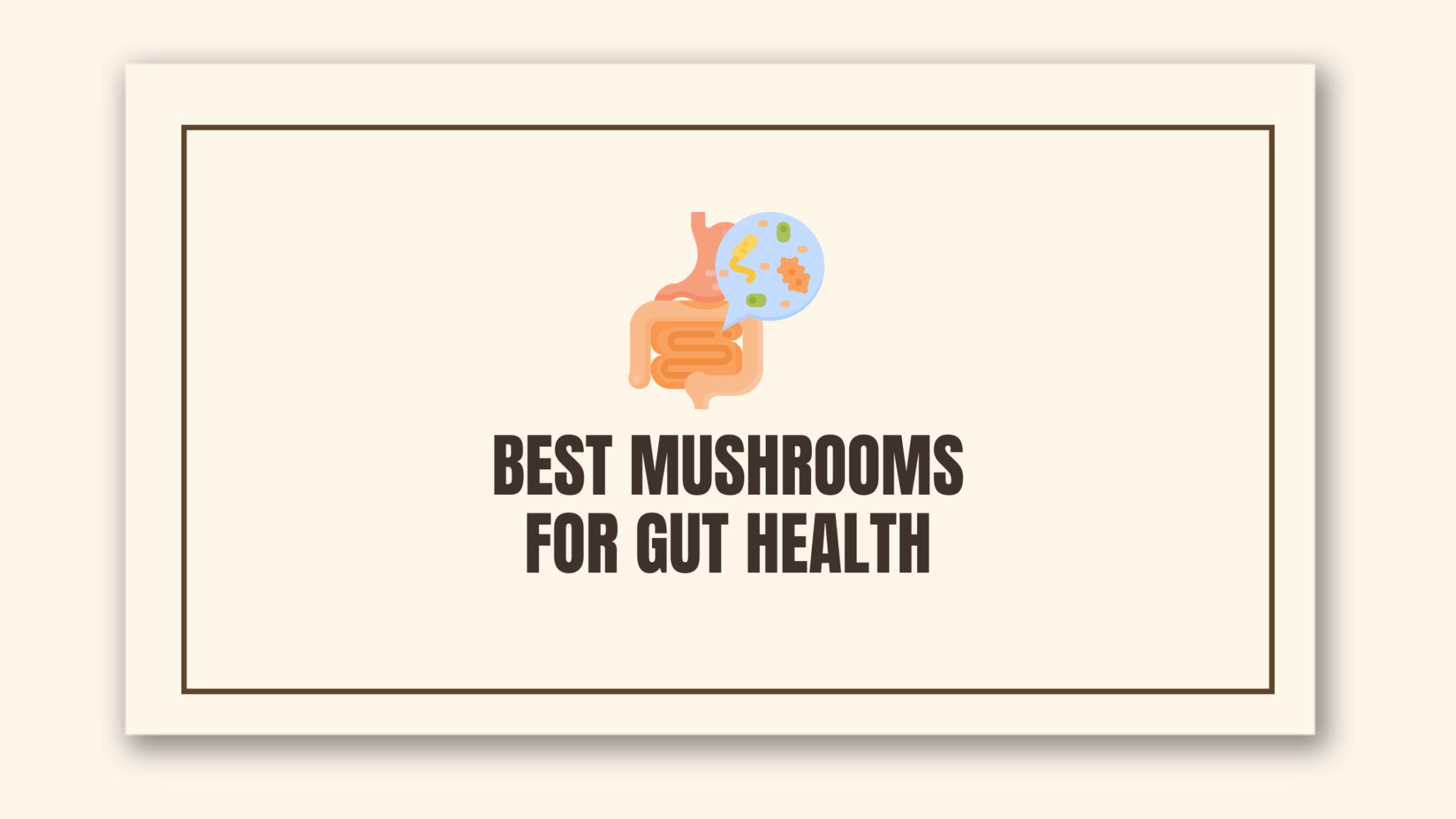 The 5 Best Medicinal Mushrooms for Gut Health Brain Brands