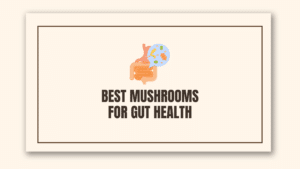 Best Mushrooms For Gut Health