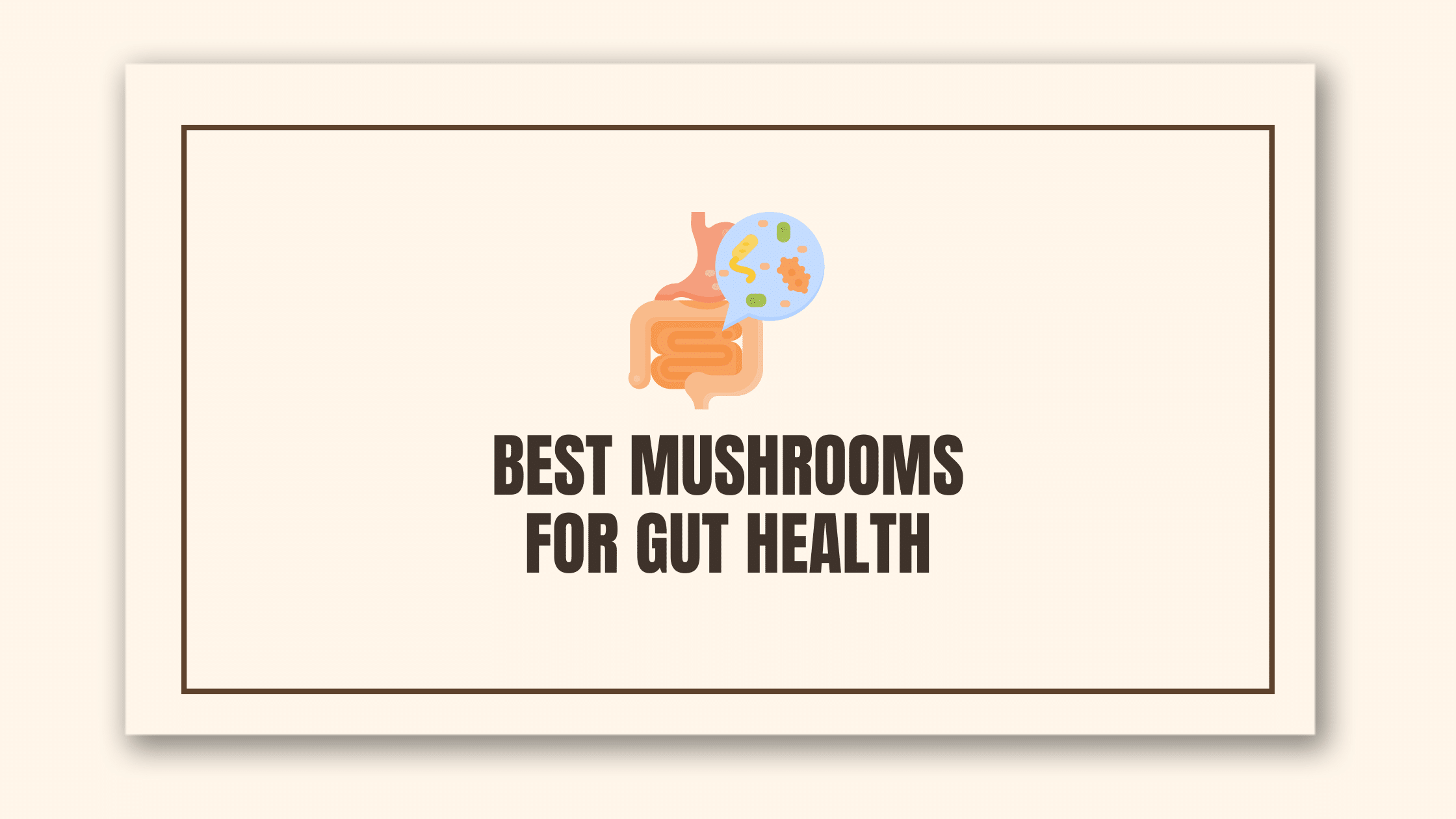 The 5 Best Medicinal Mushrooms for Gut Health Brain Brands