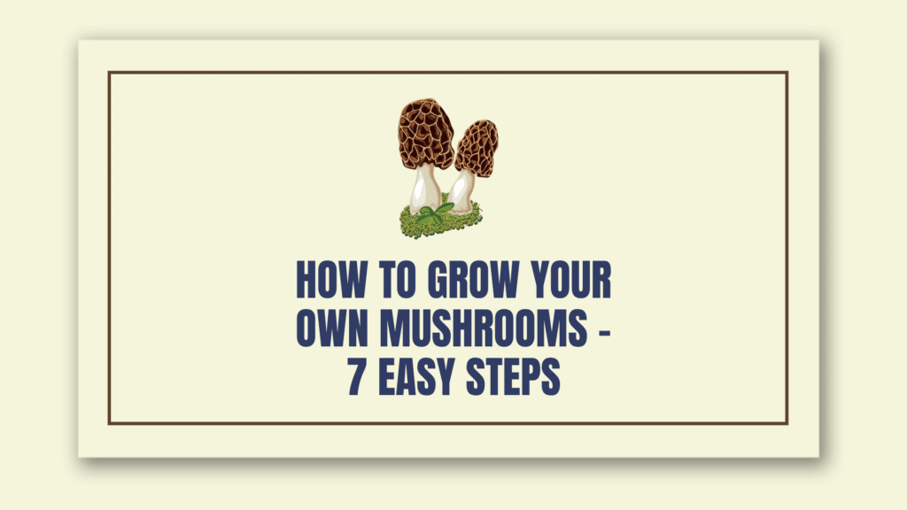 grow-mushrooms-7-easy-steps