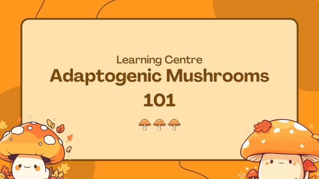 Adaptogenic Mushrooms 101