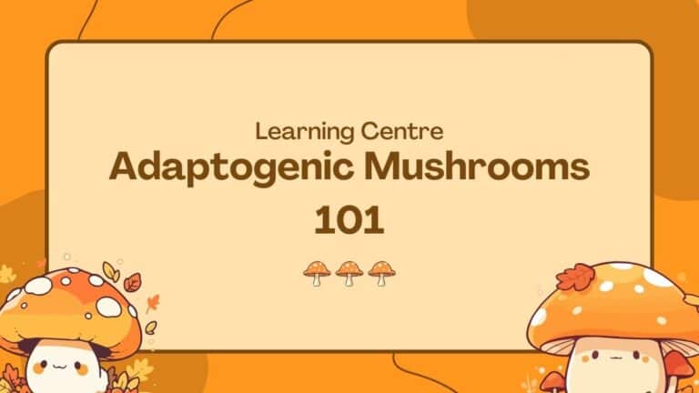 Adaptogenic Mushrooms 101