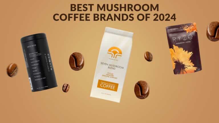Best Mushroom Coffee-Brands-2024