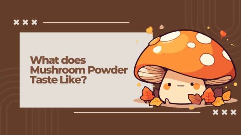 Mushroom-Coffee-Taste