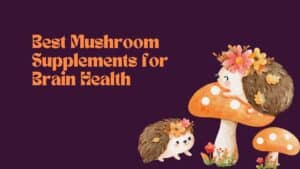 Mushroom-Supplements-Brain-Health