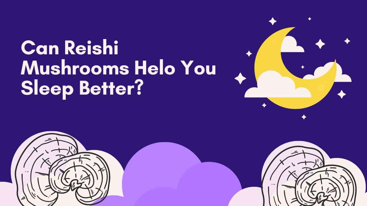 Can Reishi Mushrooms Help You Sleep? Brain Brands