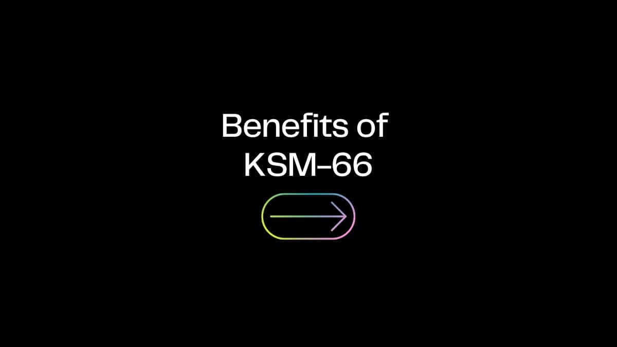 Benefits of KSM 66 Brain Brands