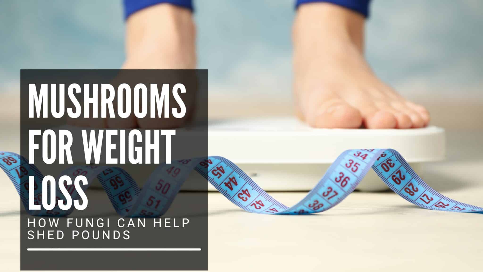 Picture of Mushrooms for Weight Loss: How Fungi Can Help Shed Pounds - Brain Brands