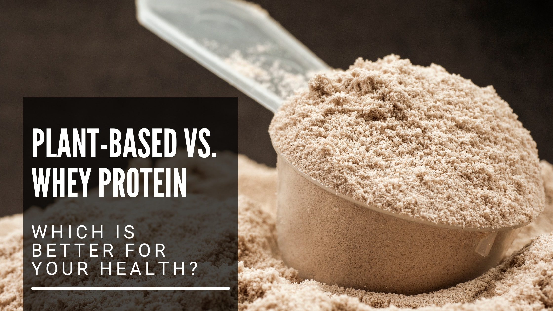 BEST PROTEIN POWDER WHEY OR PLANT BASED visual data 5